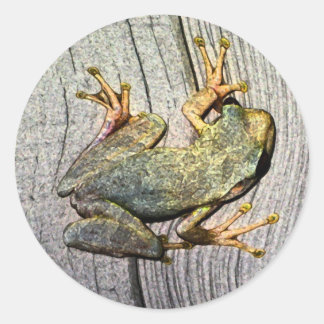 Rond Sticker à la grenouille