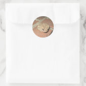 Rond Sticker à la grenouille (Sac)