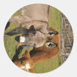 Rond Sticker À L'Âne Et À La Vache