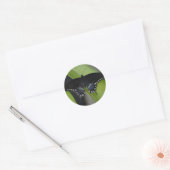 Rond Sticker à papillon Swallowtail (Enveloppe)