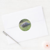 Rond Sticker à pigeon couchant (Enveloppe)