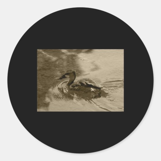 Rond Sticker à pinces pour canard à sifflement complet  (Devant)