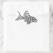 Rond Sticker à poisson catfish Zebra Pleco L46 (Sac)