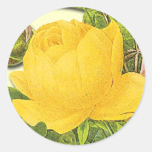 Rond Sticker à rose jaune botanique
