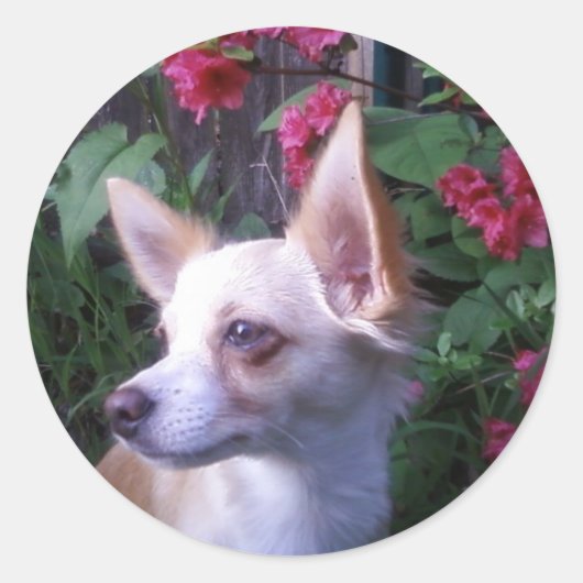 Rond Sticker "Ajouter votre propre photo" (Devant)