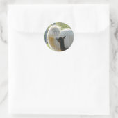 Rond Sticker Alpaca Kisses (Sac)
