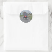 Rond Sticker Amish Buggy (Sac)