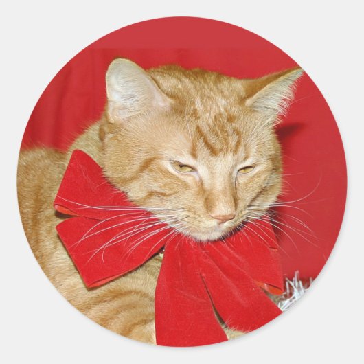 Rond sticker arc-en-ciel orange tabby Noël (Devant)