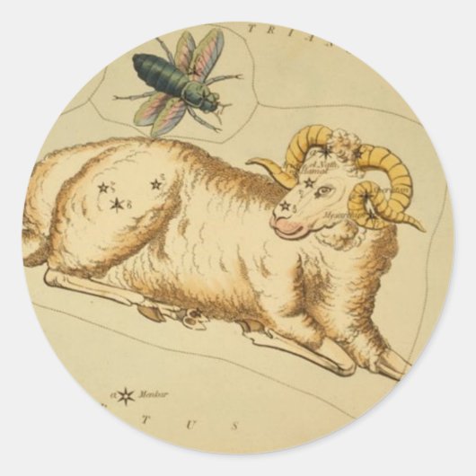 Rond Sticker Aries (Devant)