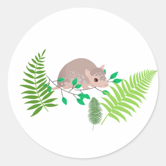 Rond Sticker Armadillo (Devant)