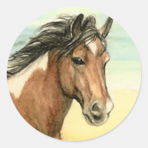 Rond Sticker "Assateague Pony"