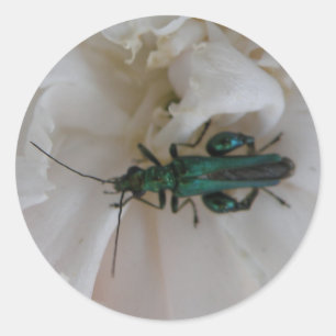 Rond Sticker au coléoptère à fleurs