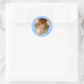 Rond Sticker au rat affamé (Sac)