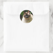 Rond Sticker avec beau chat (Sac)