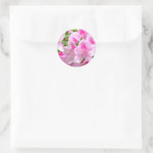 Rond Sticker Azalea Blooms (Sac)