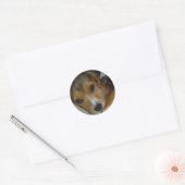 Rond Sticker beagle 2 (Enveloppe)