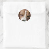 Rond Sticker Beagle couchant (Sac)