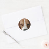 Rond Sticker Beagle couchant (Enveloppe)