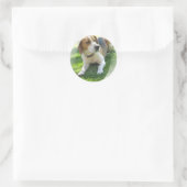 Rond Sticker beagle Hound Dog (Sac)