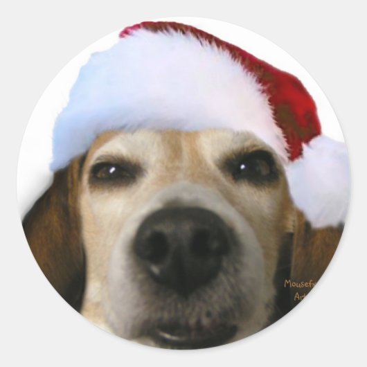 Rond Sticker Beagle père Noël (Devant)