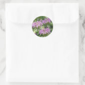 Rond Sticker Bergamont Bee Balm (Sac)