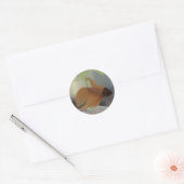 Rond Sticker Betta (Enveloppe)