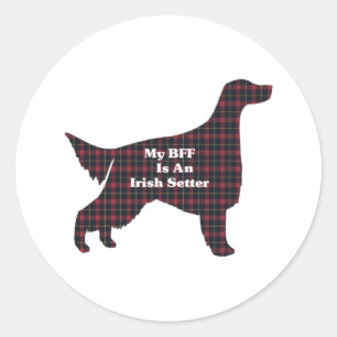 Rond Sticker BFF Setter irlandais