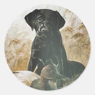 Rond STICKER Black Lab labrador récupérateur de leurre