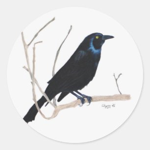 Rond Sticker Blackbird