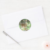 Rond Sticker blanc cerf (Enveloppe)