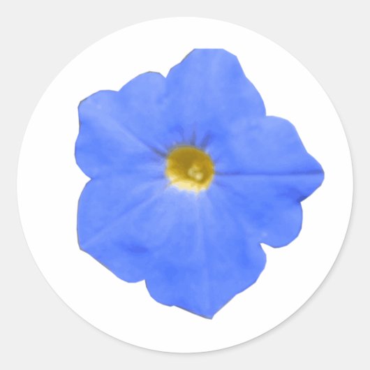 Rond Sticker bleu et jaune Petunia (Devant)