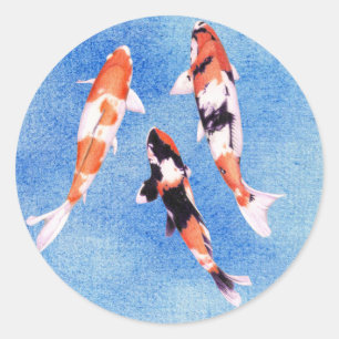 Rond Sticker bleu Koi flottant