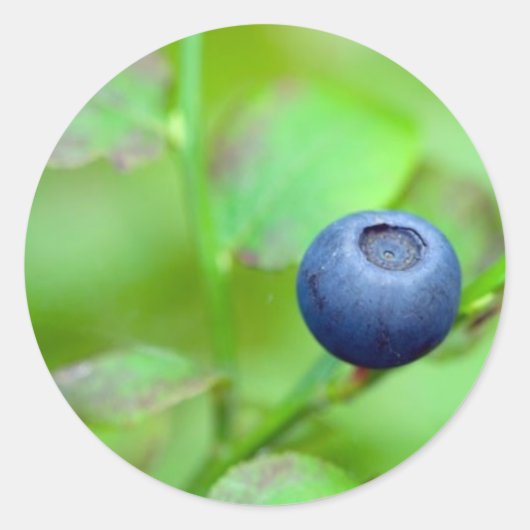 Rond Sticker Blueberry (Devant)