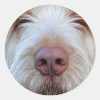 Rond Sticker Booper de Luigi