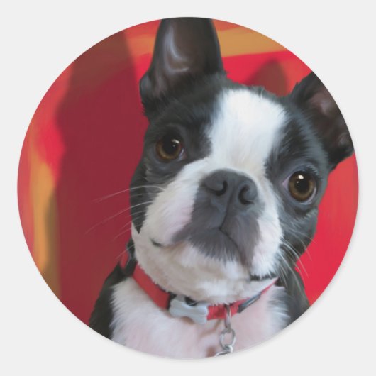 Rond Sticker Boston Terrier (Devant)