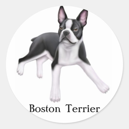 Rond Sticker Boston Terrier (Devant)