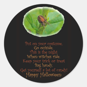 Rond Sticker Brown Orange Araneus Halloween