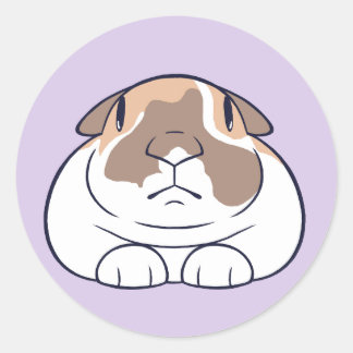 Rond Sticker Bunny Funny !