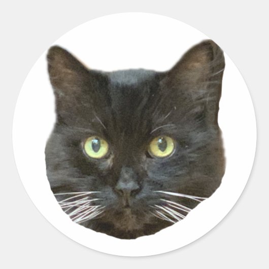 Rond Sticker Buster (Devant)