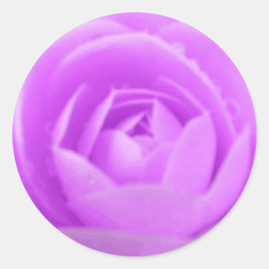 Rond Sticker Camellia Violet (Devant)