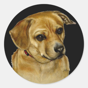 Rond Sticker carlin Dachsy