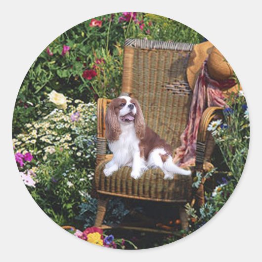 Rond Sticker Cavalier King Charles Spaniel (Devant)