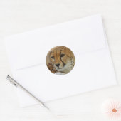 Rond Sticker Cheetah (Enveloppe)