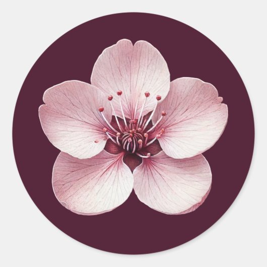 Rond Sticker Cherry Blossom (Devant)