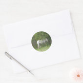 Rond Sticker Cheval Blanc Shy (Enveloppe)