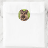 Rond Sticker chien berger (Sac)