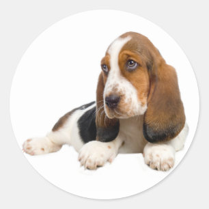 Rond Sticker Chien Chien Chien Chien Chanté Basset Hell