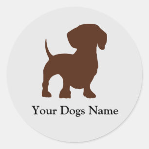 Rond Sticker Chien Dachshund