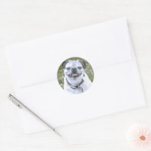Rond Sticker Chien de Pug (Enveloppe)