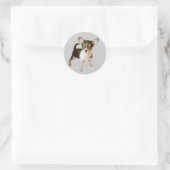Rond Sticker Chihuahua Cutie (Sac)